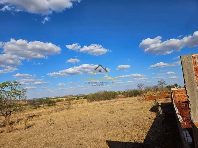 #320 - Chácara para Venda em São Francisco - SP - 2