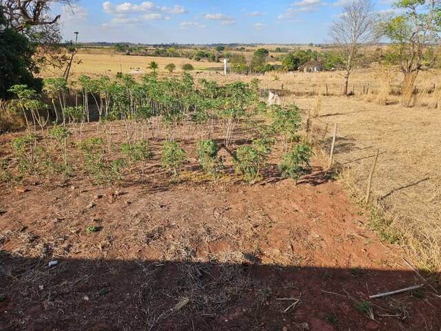 #320 - Chácara para Venda em São Francisco - SP - 3