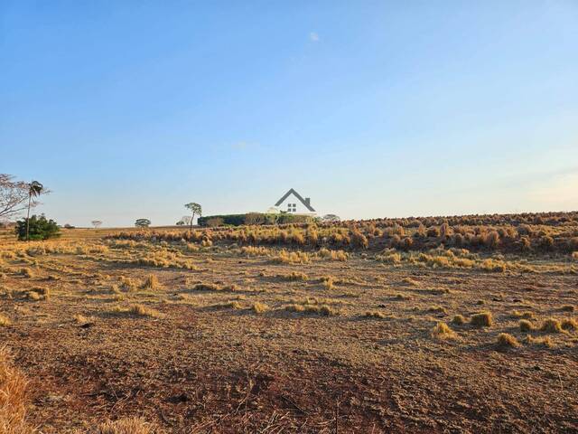 #322 - Chácara para Venda em Marinópolis - SP - 1