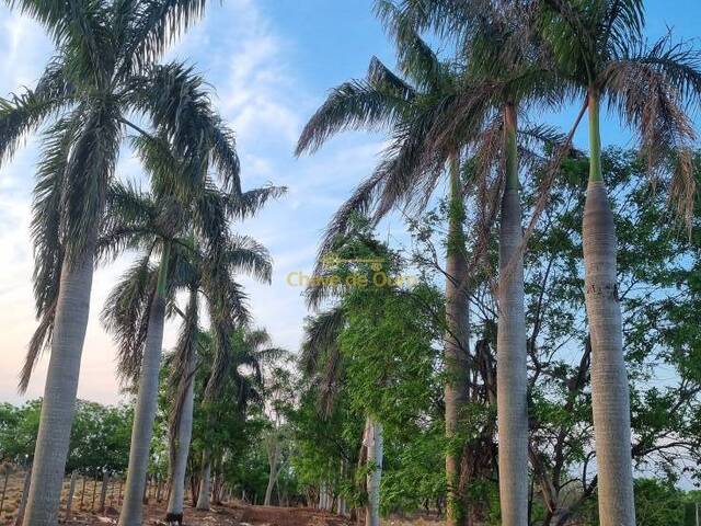 #322 - Chácara para Venda em Marinópolis - SP - 3