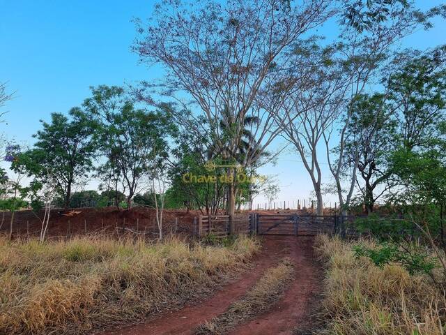 Chácara para Venda em Marinópolis - 4