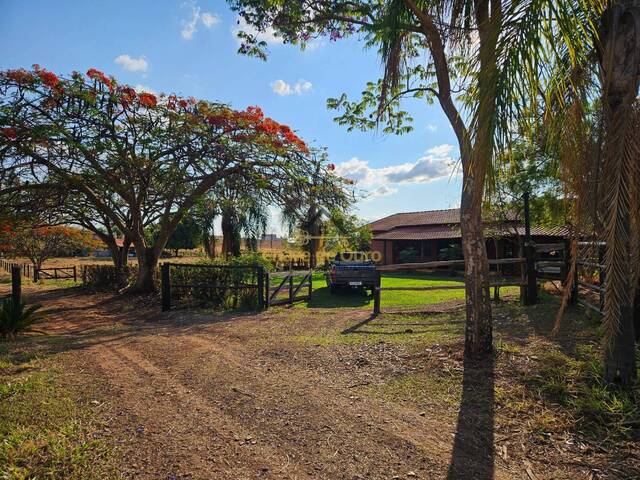 #323 - Chácara para Venda em Jales - SP - 1