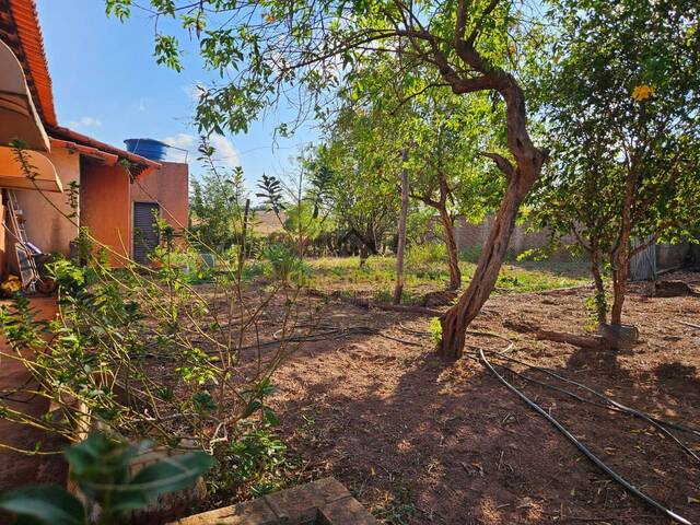 #323 - Chácara para Venda em Jales - SP - 2