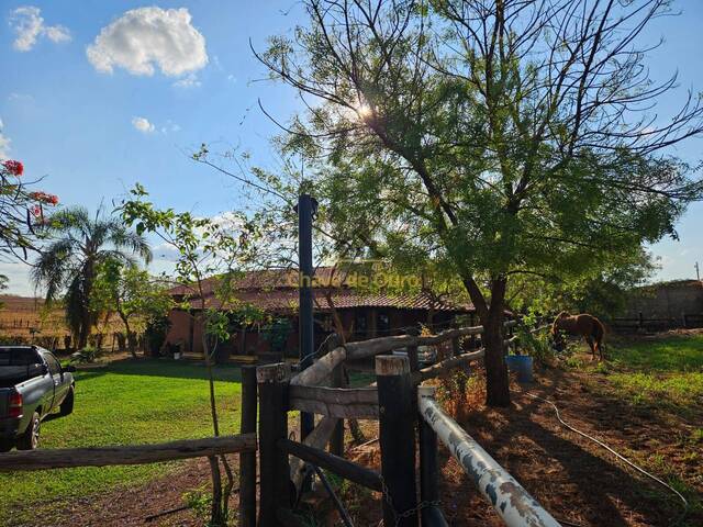 Chácara para Venda em Jales - 4