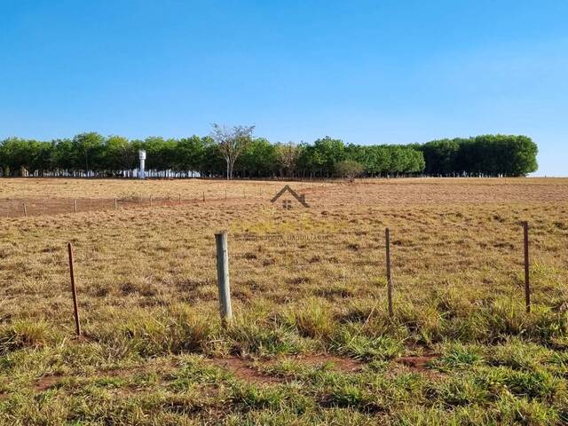 #330 - Chácara para Venda em Jales - SP - 2