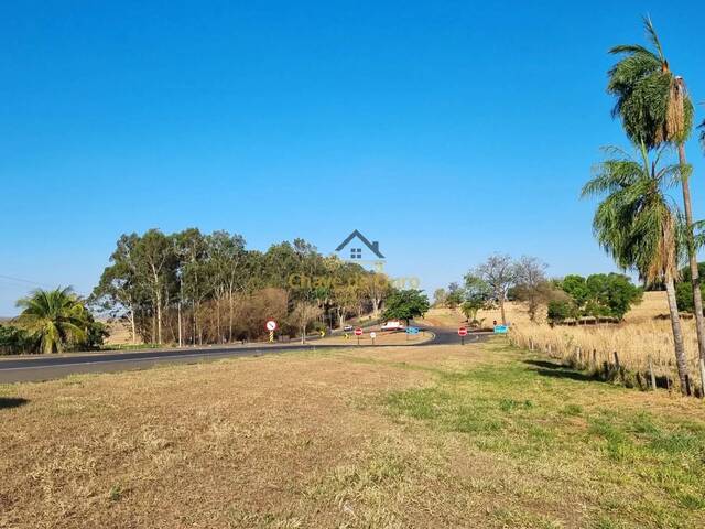 #330 - Chácara para Venda em Jales - SP - 3