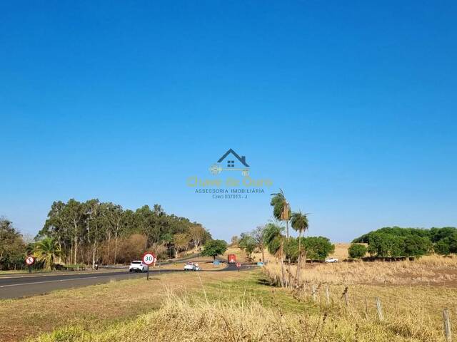 Chácara para Venda em Jales - 4