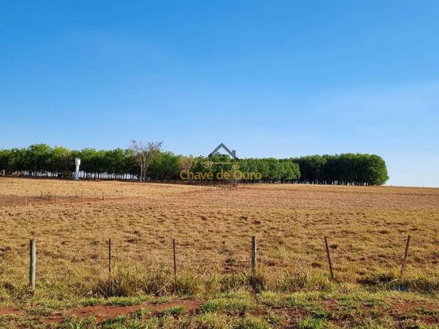 Chácara para Venda em Jales - 5