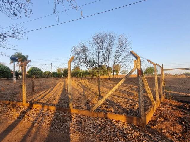 #331 - Chácara para Venda em Jales - SP - 1