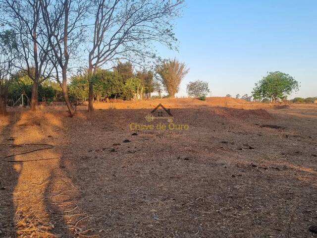 #331 - Chácara para Venda em Jales - SP - 3