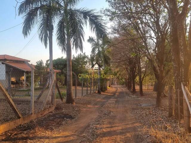 Chácara para Venda em Jales - 4