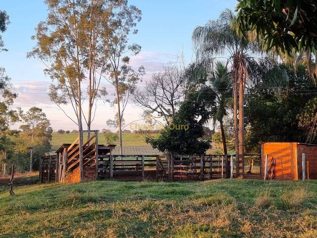 #333 - Sítio para Venda em Jales - SP - 1