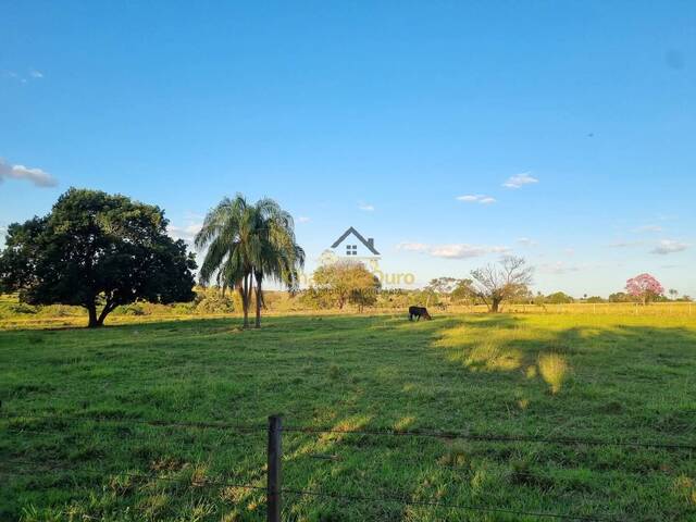 #333 - Sítio para Venda em Jales - SP - 2