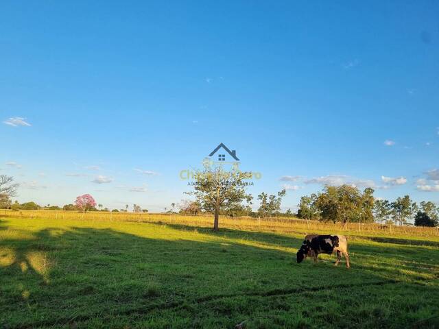 #333 - Sítio para Venda em Jales - SP - 3