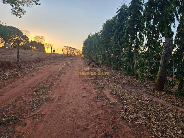 #335 - Chácara para Venda em Jales - SP - 2