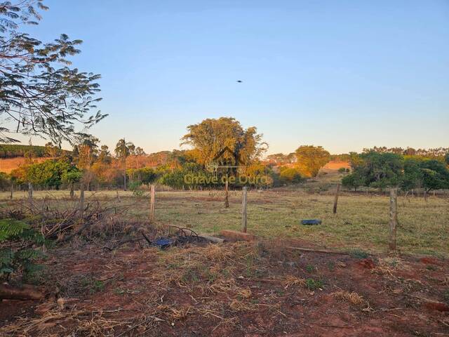 #335 - Chácara para Venda em Jales - SP - 3