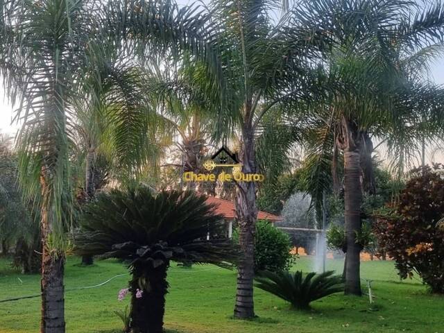 #338 - Sítio para Venda em Jales - SP - 3