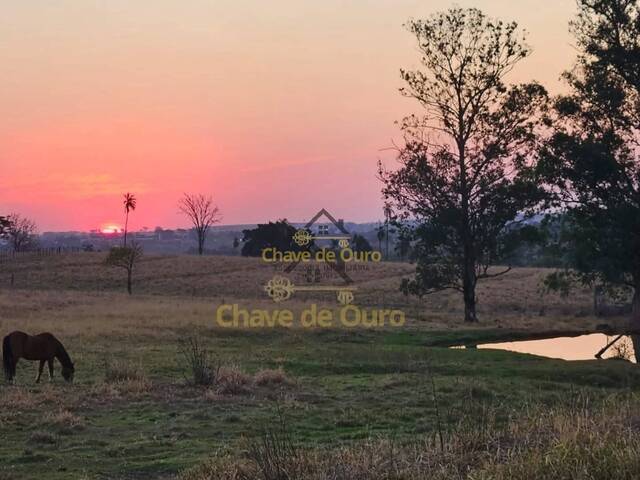 Sítio para Venda em Jales - 4