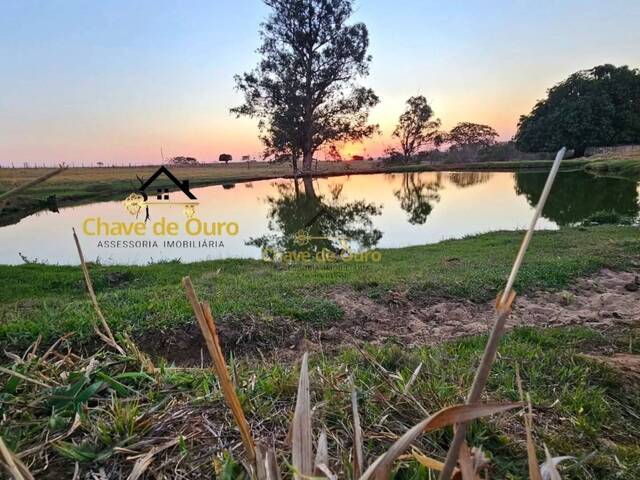 #338 - Sítio para Venda em Jales - SP - 1