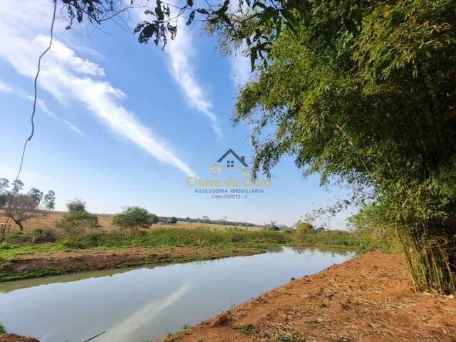 #341 - Chácara para Venda em Paranapuã - SP - 1