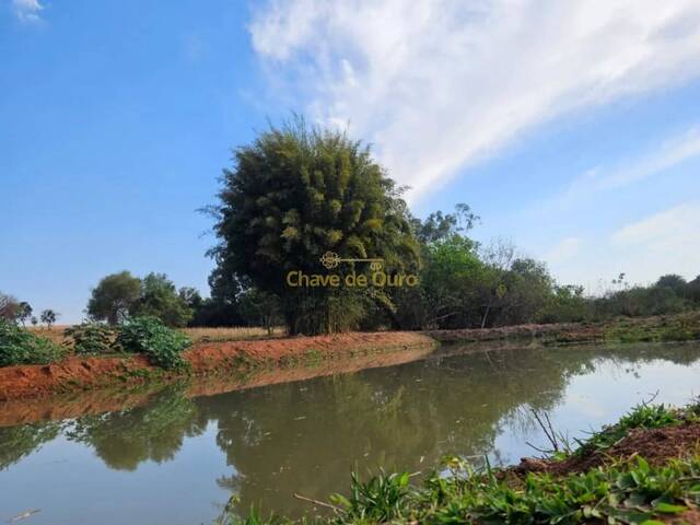 #341 - Chácara para Venda em Paranapuã - SP - 3