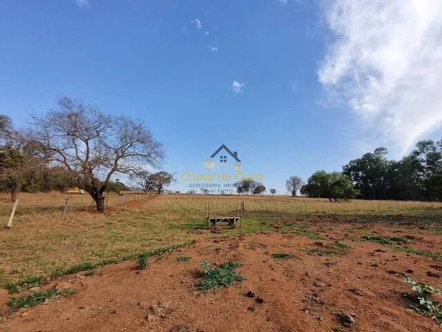 Chácara para Venda em Paranapuã - 4