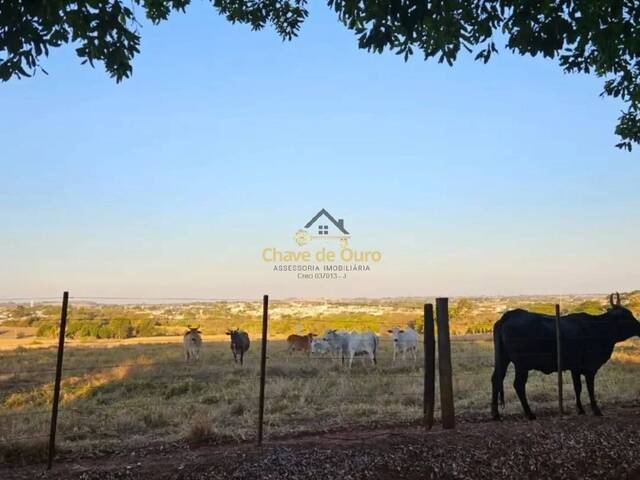 Chácara para Venda em Jales - 4