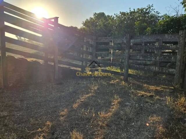 #342 - Chácara para Venda em Jales - SP - 2