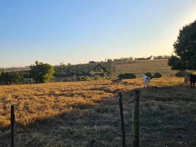 Chácara para Venda em Jales - 5