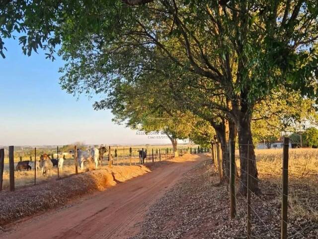 #342 - Chácara para Venda em Jales - SP - 3