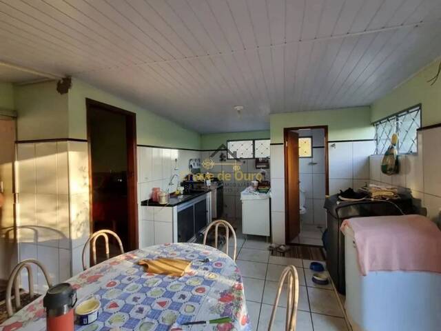 #342 - Chácara para Venda em Jales - SP - 1