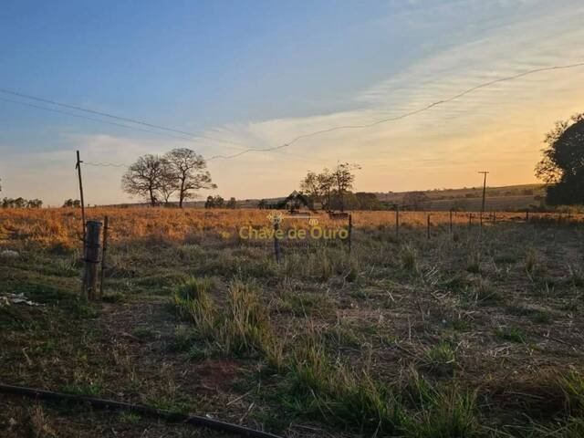 #345 - Chácara para Venda em Jales - SP - 2
