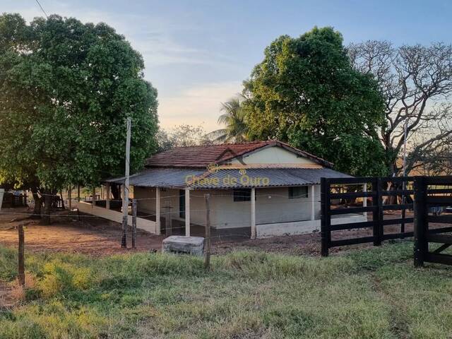 #345 - Chácara para Venda em Jales - SP - 1