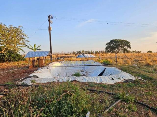 #345 - Chácara para Venda em Jales - SP - 3