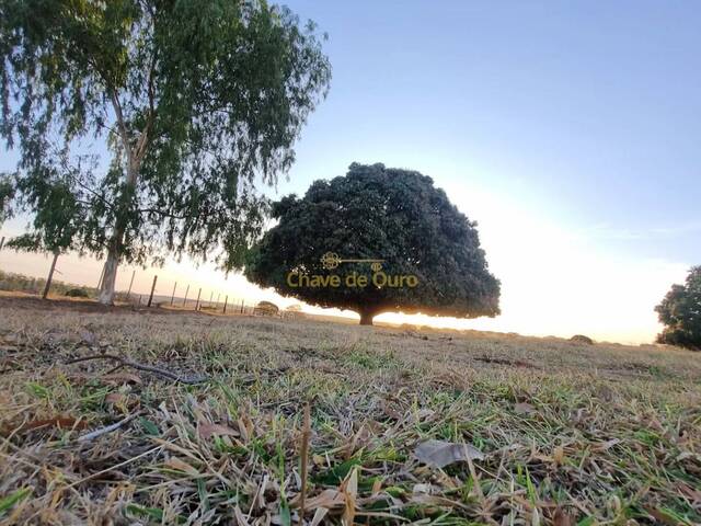 Chácara para Venda em Jales - 5