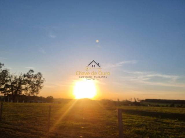 #347 - Sítio para Venda em Jales - SP - 1