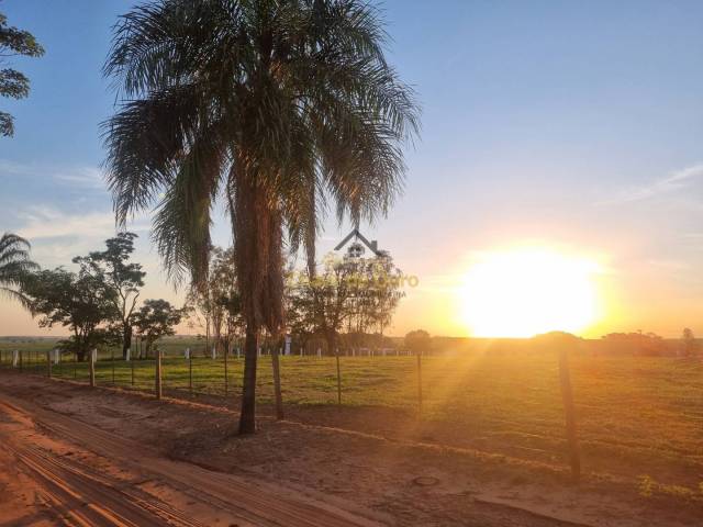 #347 - Sítio para Venda em Jales - SP - 2