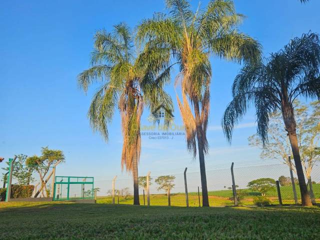 Sítio para Venda em Jales - 4