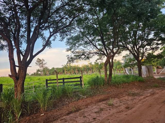 #353 - Chácara para Venda em Jales - SP - 1