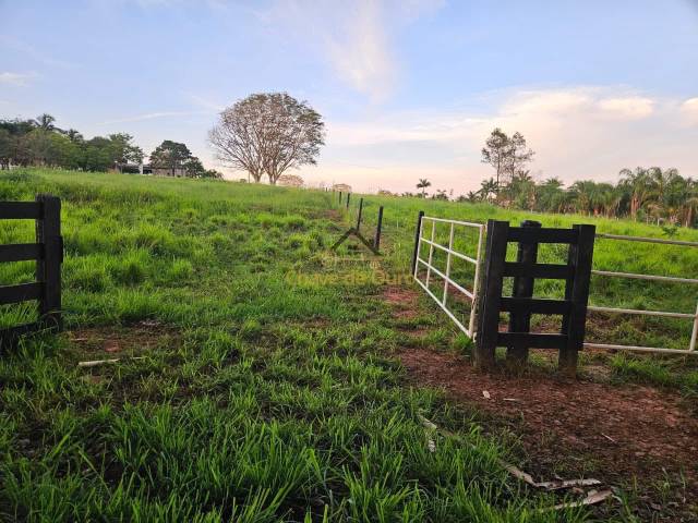 #353 - Chácara para Venda em Jales - SP - 2