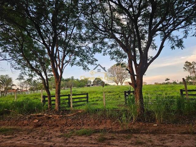 Chácara para Venda em Jales - 5