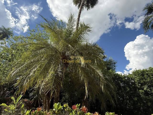 Chácara para Venda em Jales - 4