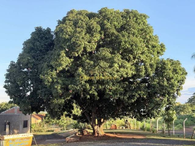 Chácara para Venda em Jales - 5