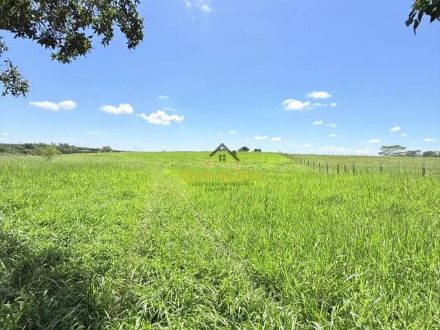 Sítio para Venda em Jales - 2