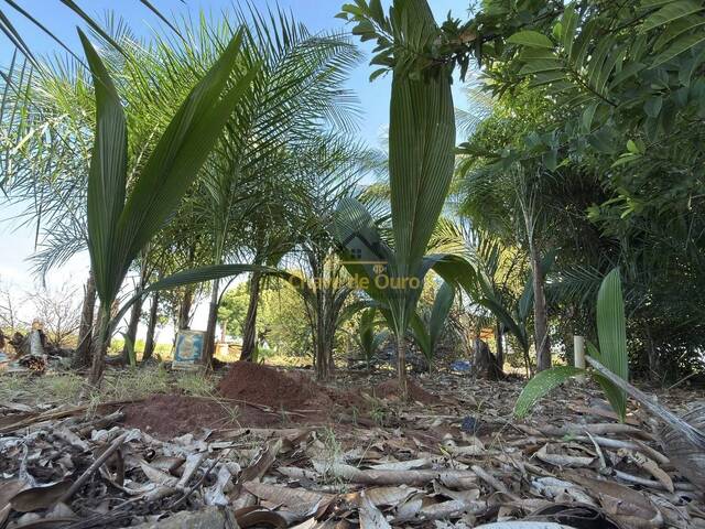 Sítio para Venda em Jales - 4