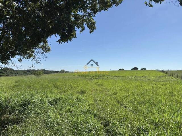 Sítio para Venda em Jales - 5