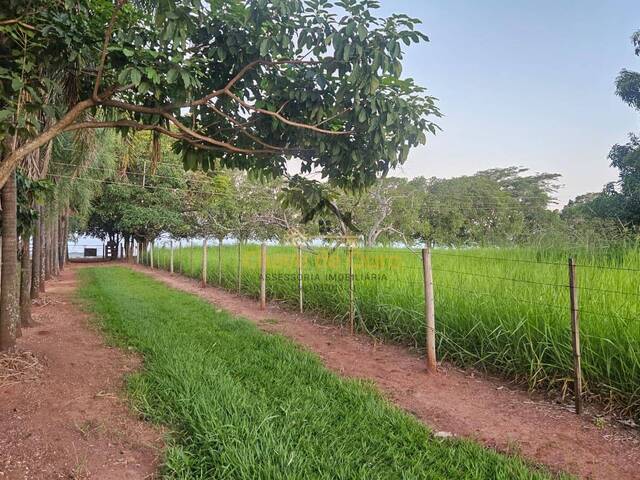 Chácara para Venda em Jales - 2