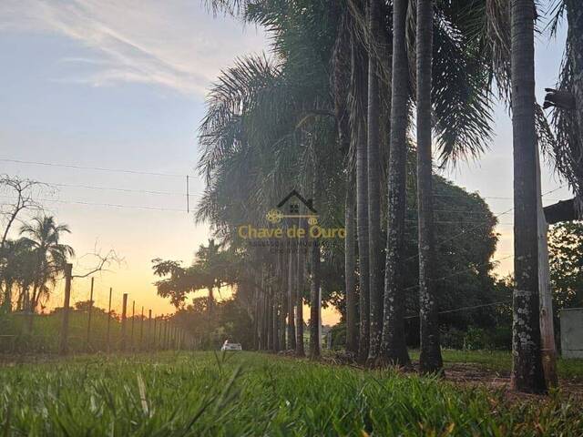 Chácara para Venda em Jales - 4