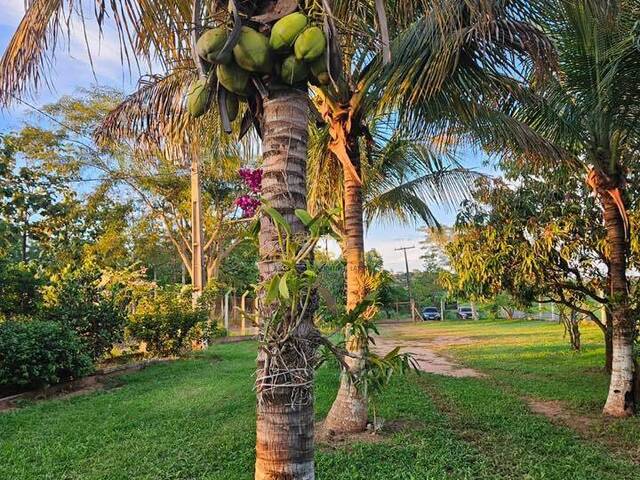 #389 - Chácara para Venda em Jales - SP