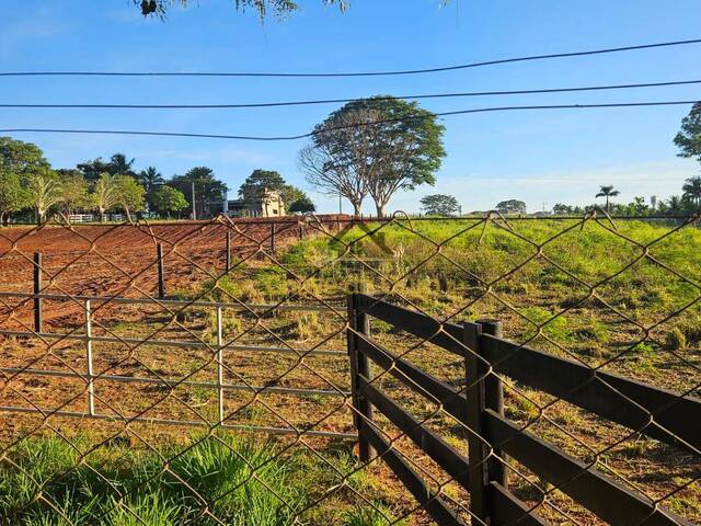 Chácara para Venda em Jales - 5